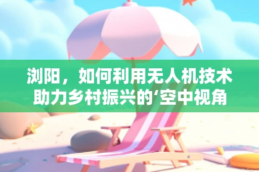 浏阳，如何利用无人机技术助力乡村振兴的‘空中视角’？