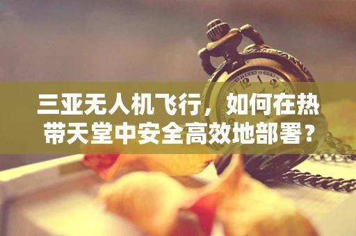 三亚无人机飞行，如何在热带天堂中安全高效地部署？