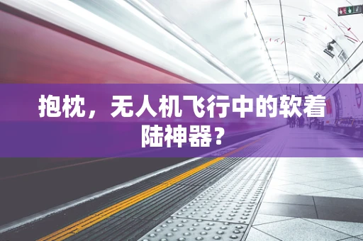 抱枕，无人机飞行中的软着陆神器？