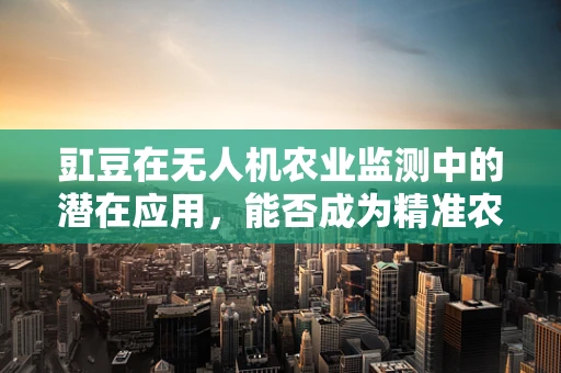 豇豆在无人机农业监测中的潜在应用，能否成为精准农业的新宠？