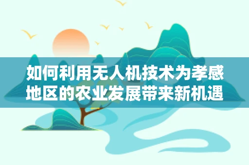 如何利用无人机技术为孝感地区的农业发展带来新机遇？