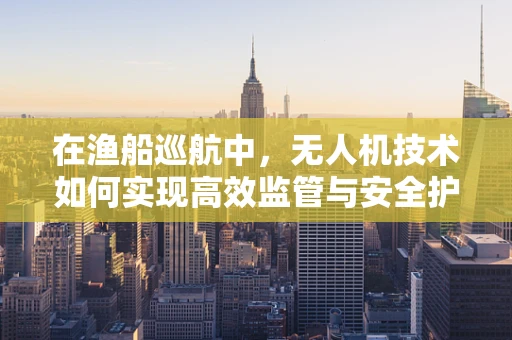 在渔船巡航中，无人机技术如何实现高效监管与安全护航？