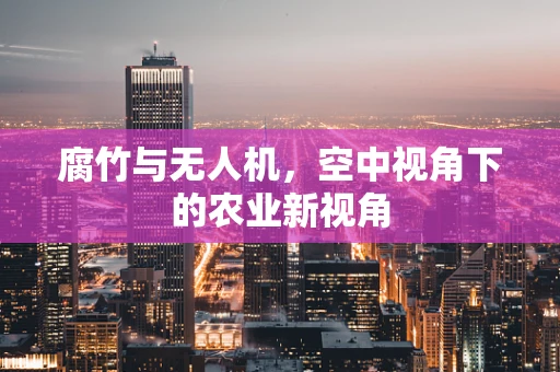 腐竹与无人机，空中视角下的农业新视角