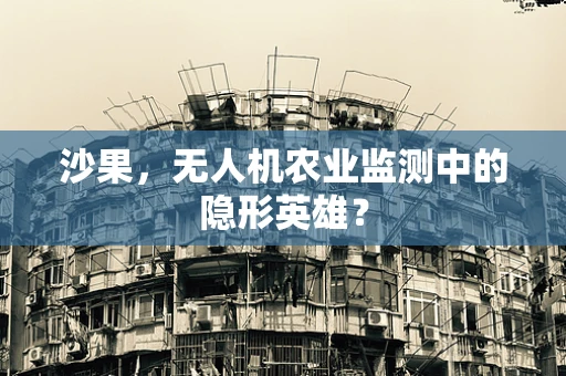 沙果，无人机农业监测中的隐形英雄？