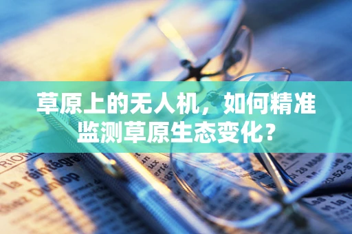 草原上的无人机，如何精准监测草原生态变化？