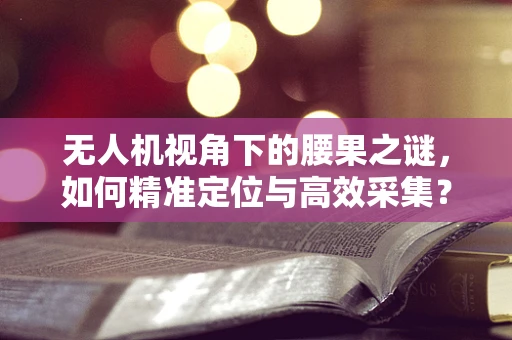 无人机视角下的腰果之谜，如何精准定位与高效采集？