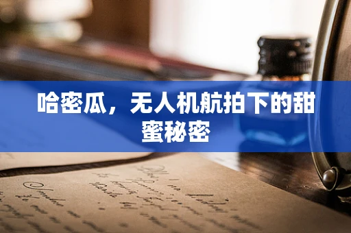 哈密瓜，无人机航拍下的甜蜜秘密
