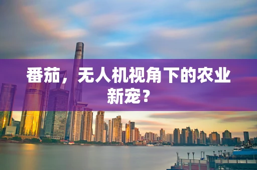 番茄，无人机视角下的农业新宠？