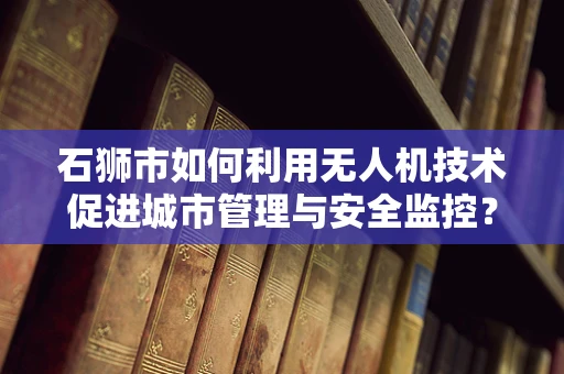 石狮市如何利用无人机技术促进城市管理与安全监控？