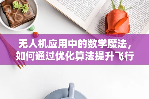 无人机应用中的数学魔法，如何通过优化算法提升飞行效率？