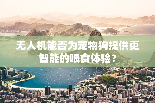 无人机能否为宠物狗提供更智能的喂食体验？