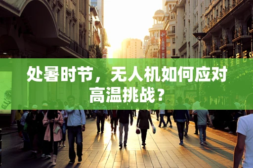 处暑时节，无人机如何应对高温挑战？