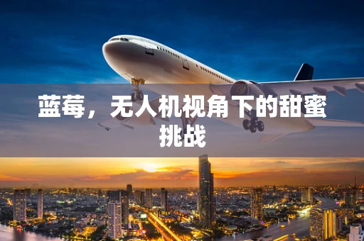蓝莓，无人机视角下的甜蜜挑战