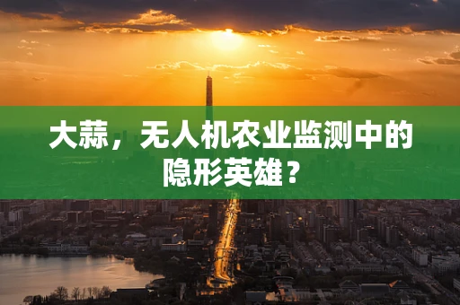 大蒜，无人机农业监测中的隐形英雄？
