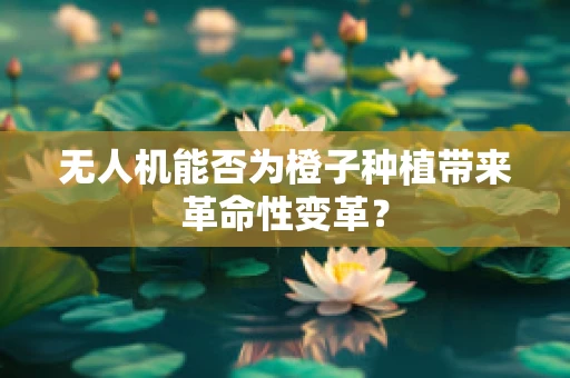 无人机能否为橙子种植带来革命性变革？