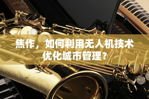 焦作，如何利用无人机技术优化城市管理？