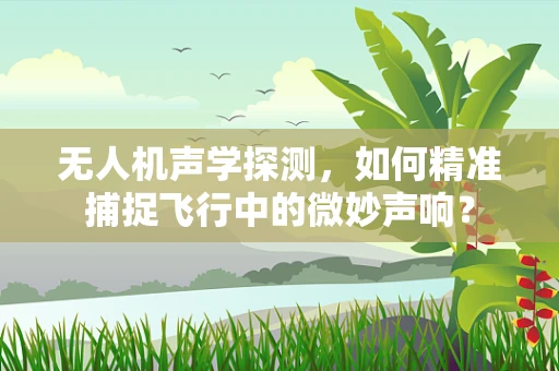 无人机声学探测，如何精准捕捉飞行中的微妙声响？