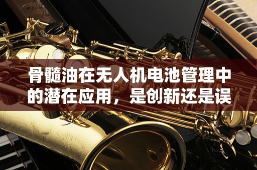 骨髓油在无人机电池管理中的潜在应用，是创新还是误区？