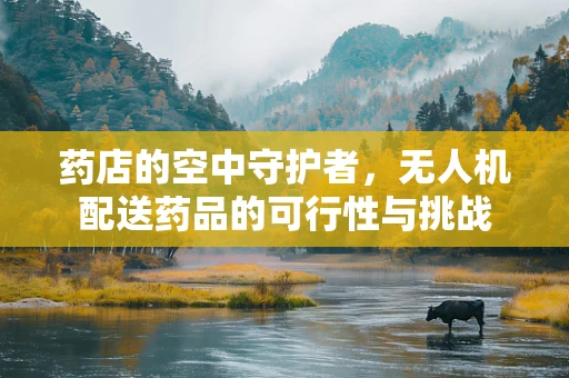 药店的空中守护者，无人机配送药品的可行性与挑战