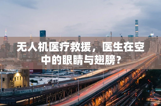 无人机医疗救援，医生在空中的眼睛与翅膀？