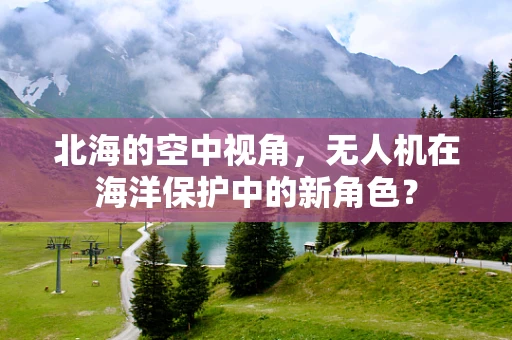北海的空中视角，无人机在海洋保护中的新角色？