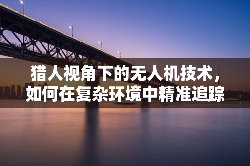 猎人视角下的无人机技术，如何在复杂环境中精准追踪？