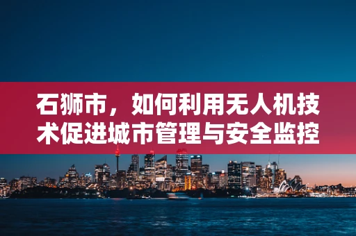 石狮市，如何利用无人机技术促进城市管理与安全监控的新视角？