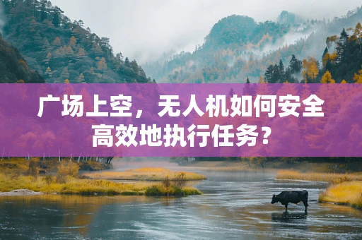 广场上空，无人机如何安全高效地执行任务？