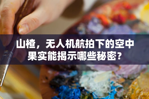 山楂，无人机航拍下的空中果实能揭示哪些秘密？