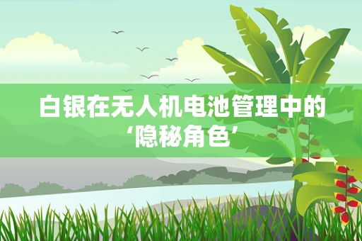 白银在无人机电池管理中的‘隐秘角色’