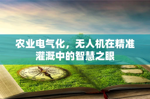 农业电气化，无人机在精准灌溉中的智慧之眼