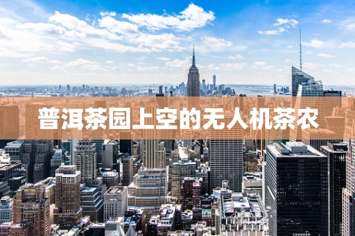 普洱茶园上空的无人机茶农