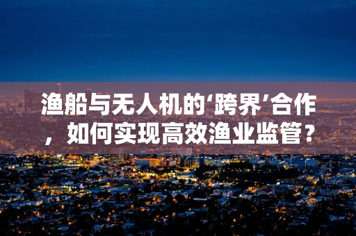 渔船与无人机的‘跨界’合作，如何实现高效渔业监管？