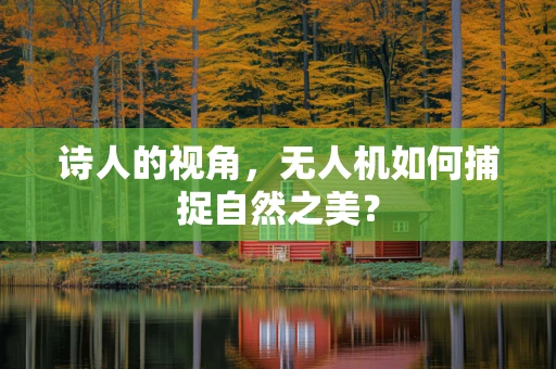 诗人的视角，无人机如何捕捉自然之美？
