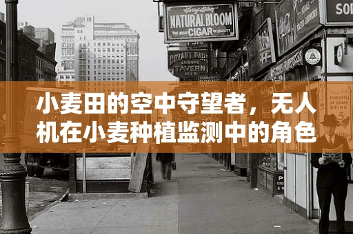 小麦田的空中守望者，无人机在小麦种植监测中的角色之问？