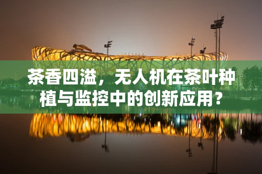 茶香四溢，无人机在茶叶种植与监控中的创新应用？