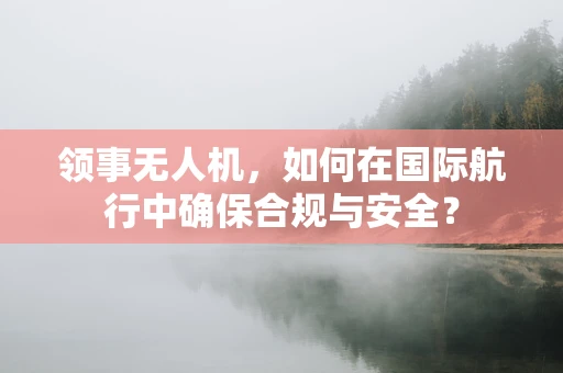 领事无人机，如何在国际航行中确保合规与安全？