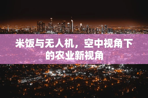 米饭与无人机，空中视角下的农业新视角