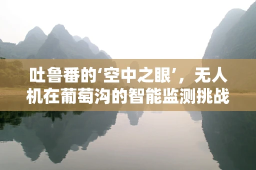吐鲁番的‘空中之眼’，无人机在葡萄沟的智能监测挑战