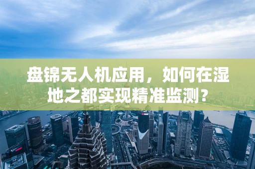 盘锦无人机应用，如何在湿地之都实现精准监测？