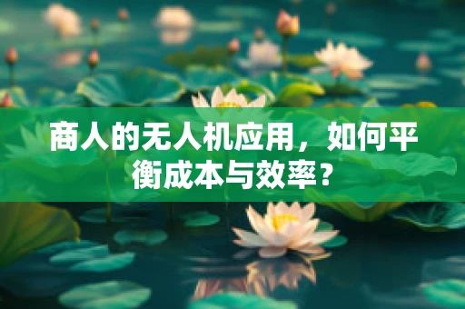 商人的无人机应用，如何平衡成本与效率？