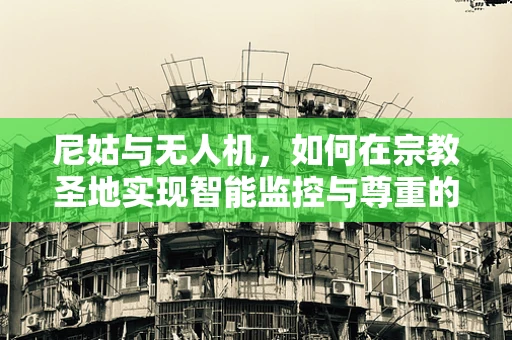 尼姑与无人机，如何在宗教圣地实现智能监控与尊重的平衡？