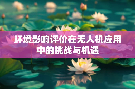 环境影响评价在无人机应用中的挑战与机遇