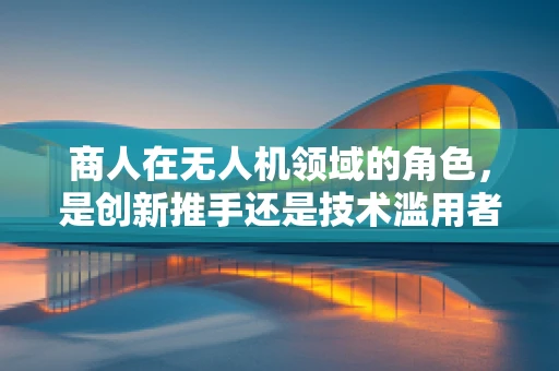 商人在无人机领域的角色，是创新推手还是技术滥用者？