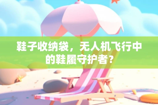 鞋子收纳袋，无人机飞行中的鞋履守护者？