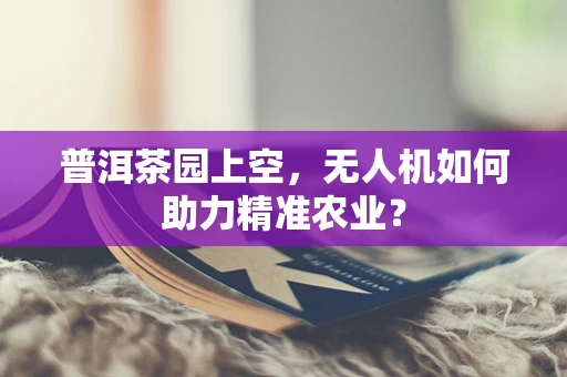 普洱茶园上空，无人机如何助力精准农业？