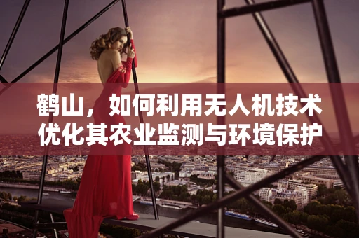 鹤山，如何利用无人机技术优化其农业监测与环境保护？