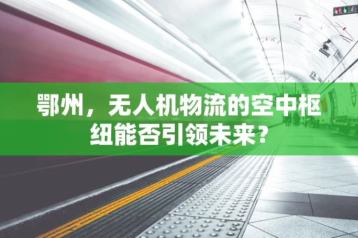 鄂州，无人机物流的空中枢纽能否引领未来？
