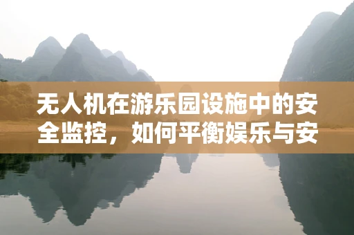 无人机在游乐园设施中的安全监控，如何平衡娱乐与安全？
