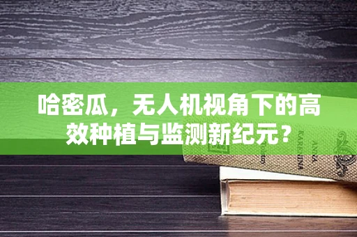哈密瓜，无人机视角下的高效种植与监测新纪元？